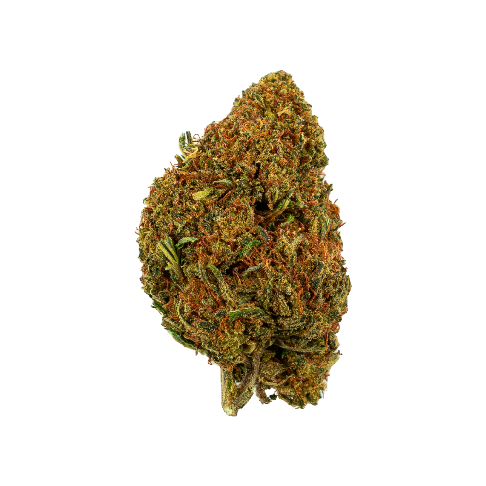 Alpina Green Fleur de CBD outdoor – Fleur de cannabis suisse premium cultivée en extérieur avec un arôme intense et une grande diversité naturelle de terpènes.