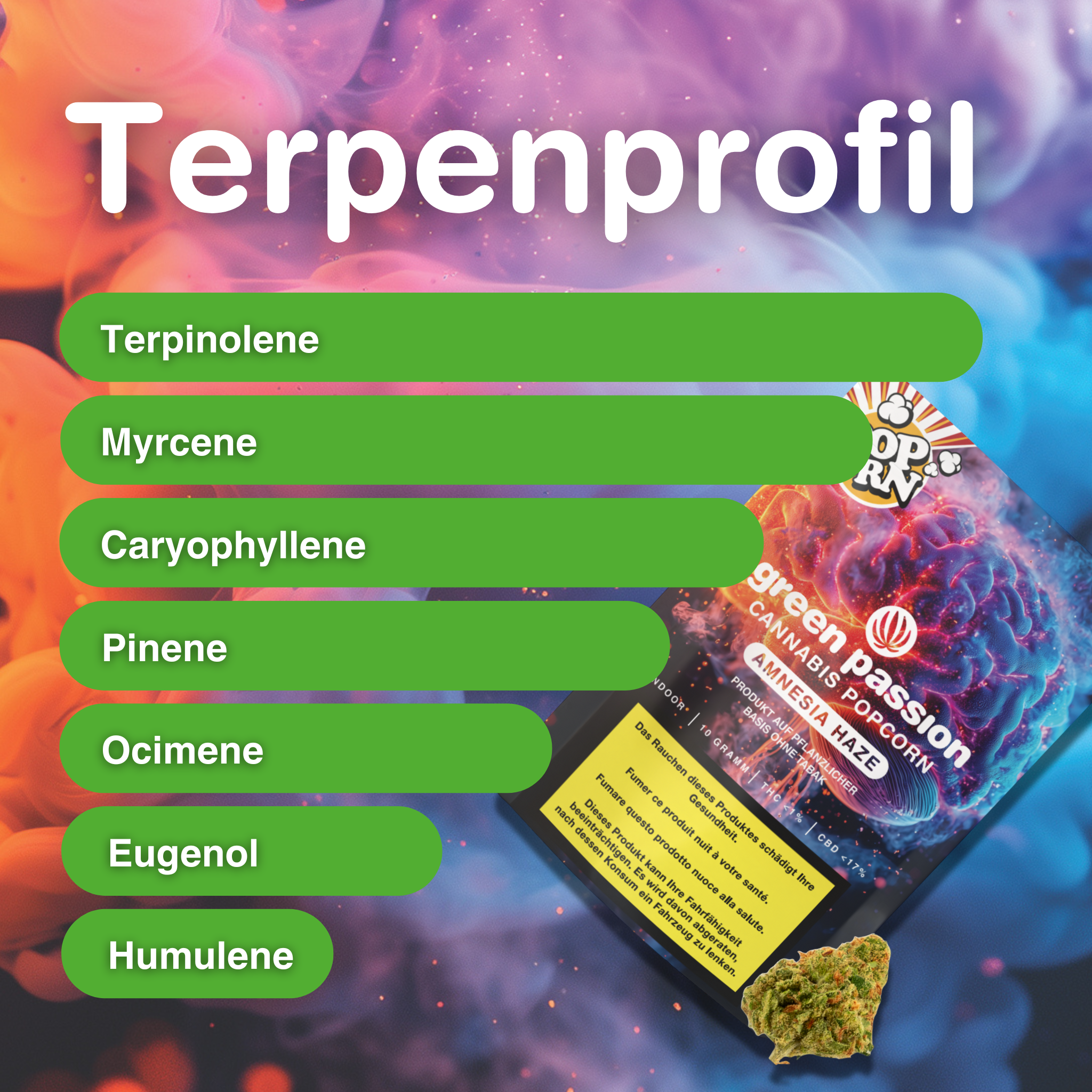 Produktbild von Amnesia Haze Popcorn 10g CBD Blüten Indoor mit Terpenprofil; bunte Verpackung und Blüten im Vordergrund.