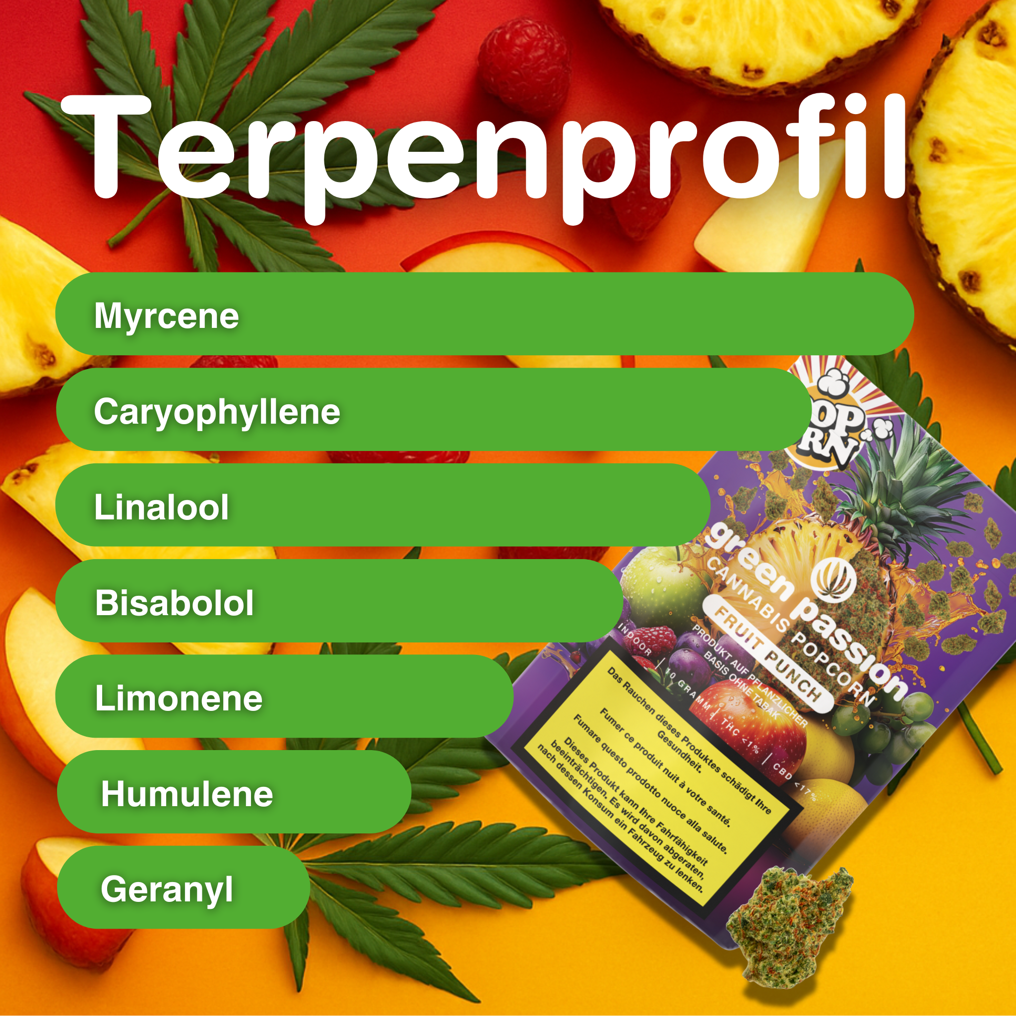 Verpackung von Fruit Punch Popcorn CBD Blüten auf farbigem Hintergrund mit Früchten und Hanfblatt, zeigt Terpenprofil.