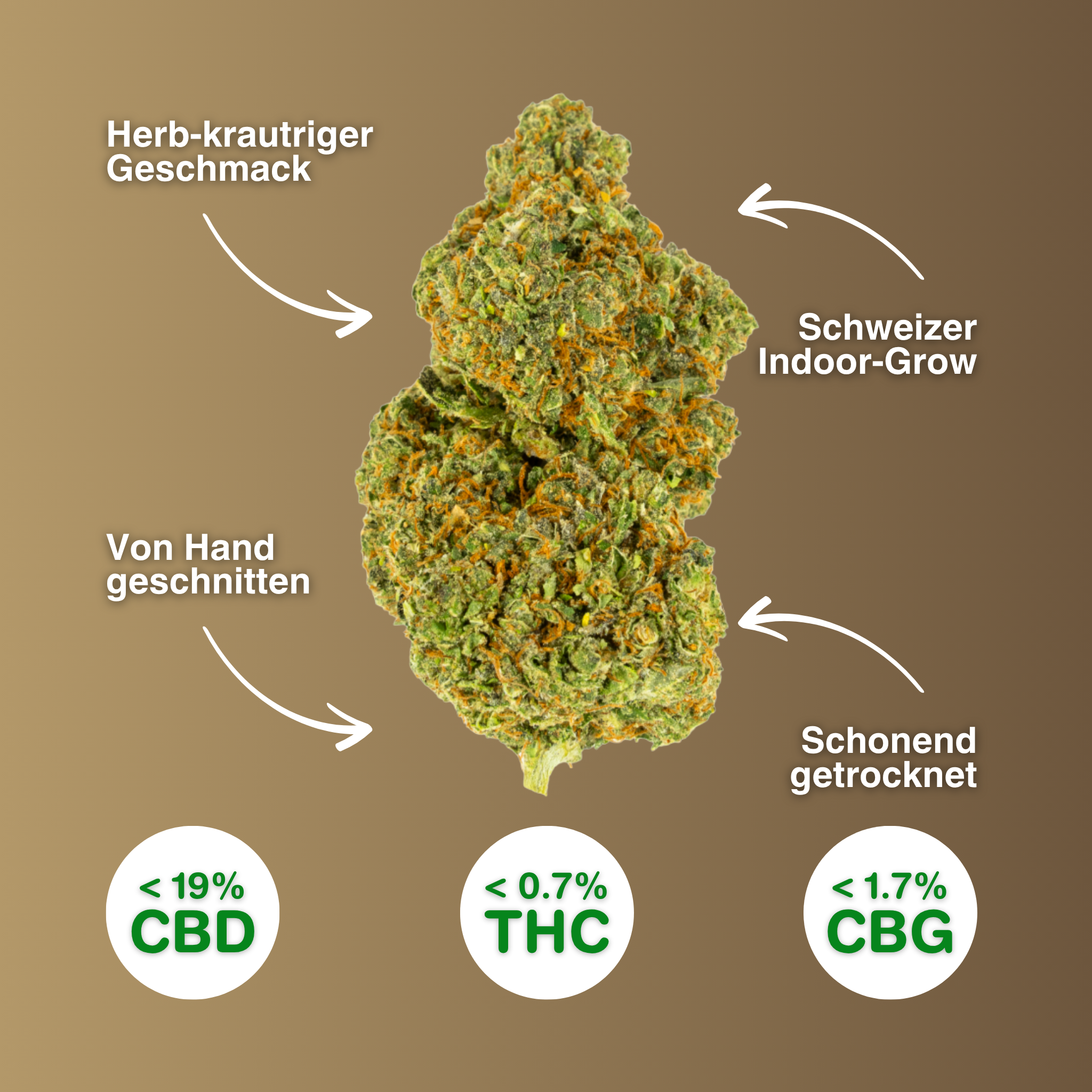 CBD-Blüte Gorilla Smack mit handgeschnittenem, schweizer Indoor-Anbau, herbem Geschmack, schonend getrocknet, <19% CBD, <0,7% THC.