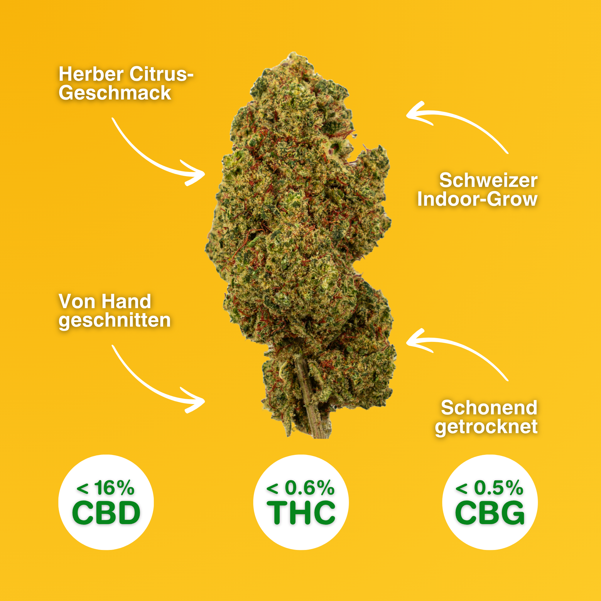 Fleur de CBD Lemon Passion avec une note d'agrumes prononcée, taillée à la main, issue de culture indoor suisse, séchée en douceur, <16% de CBD, <0,6% de THC.