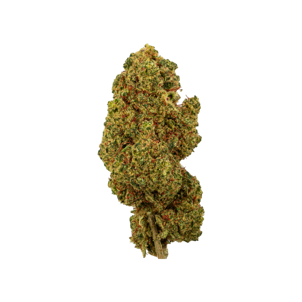 Lemon Passion Fleurs de CBD de Green Passion – Cannabis indoor suisse premium avec un profil terpénique citronné et frais, des têtes denses et résineuses, et un arôme intense.