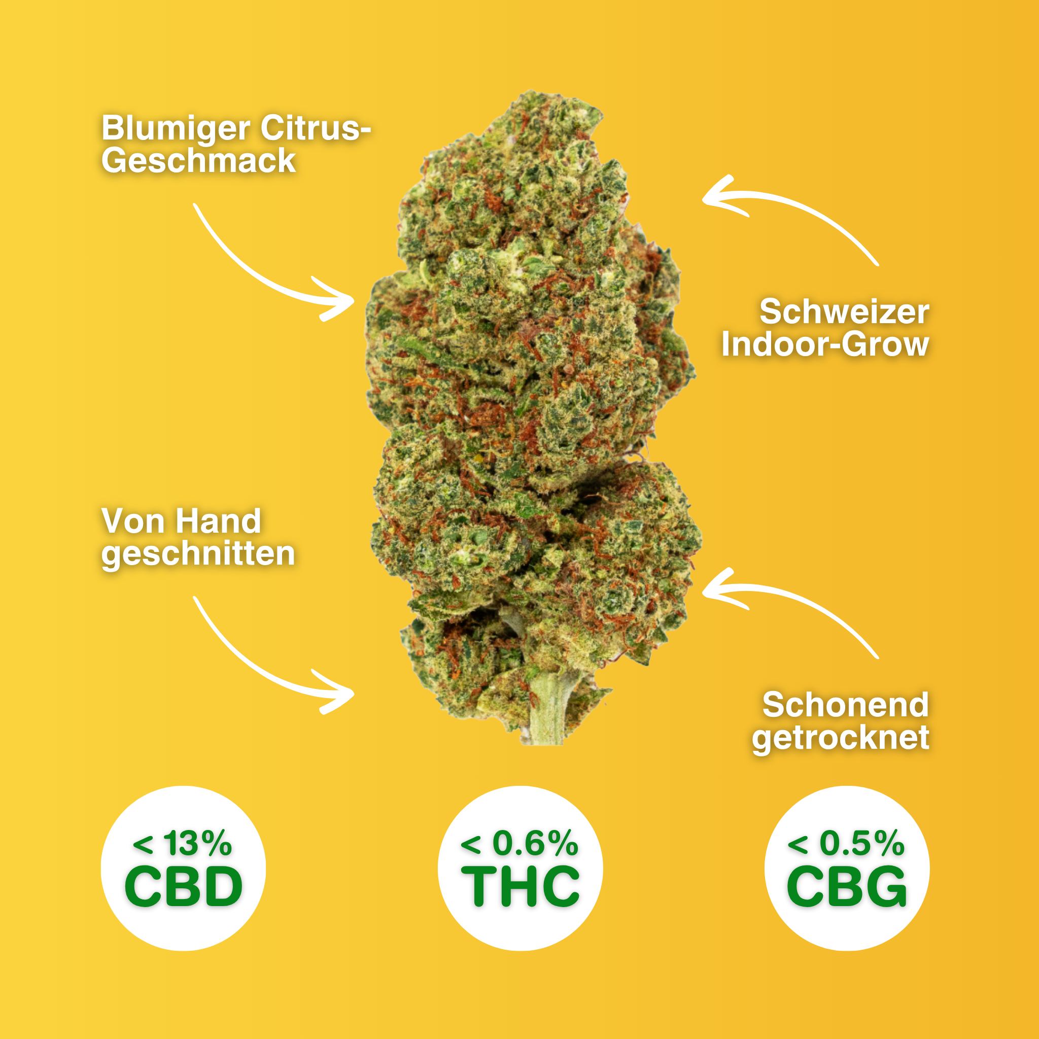 Lemon Skunk CBD Blüten, handgeschnitten, Schweizer Indoor-Grow, blumiger Citrus-Geschmack, schonend getrocknet, <13% CBD, <0,6% THC.