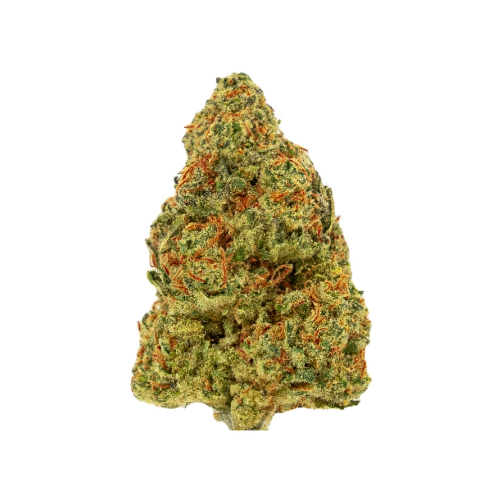Maui Kush Fleurs de CBD – qualité indoor suisse avec une saveur fruitée et exotique. Gros plan sur une fleur de chanvre vert vif avec des trichomes intenses. Green Passion représente des produits CBD de haute qualité.