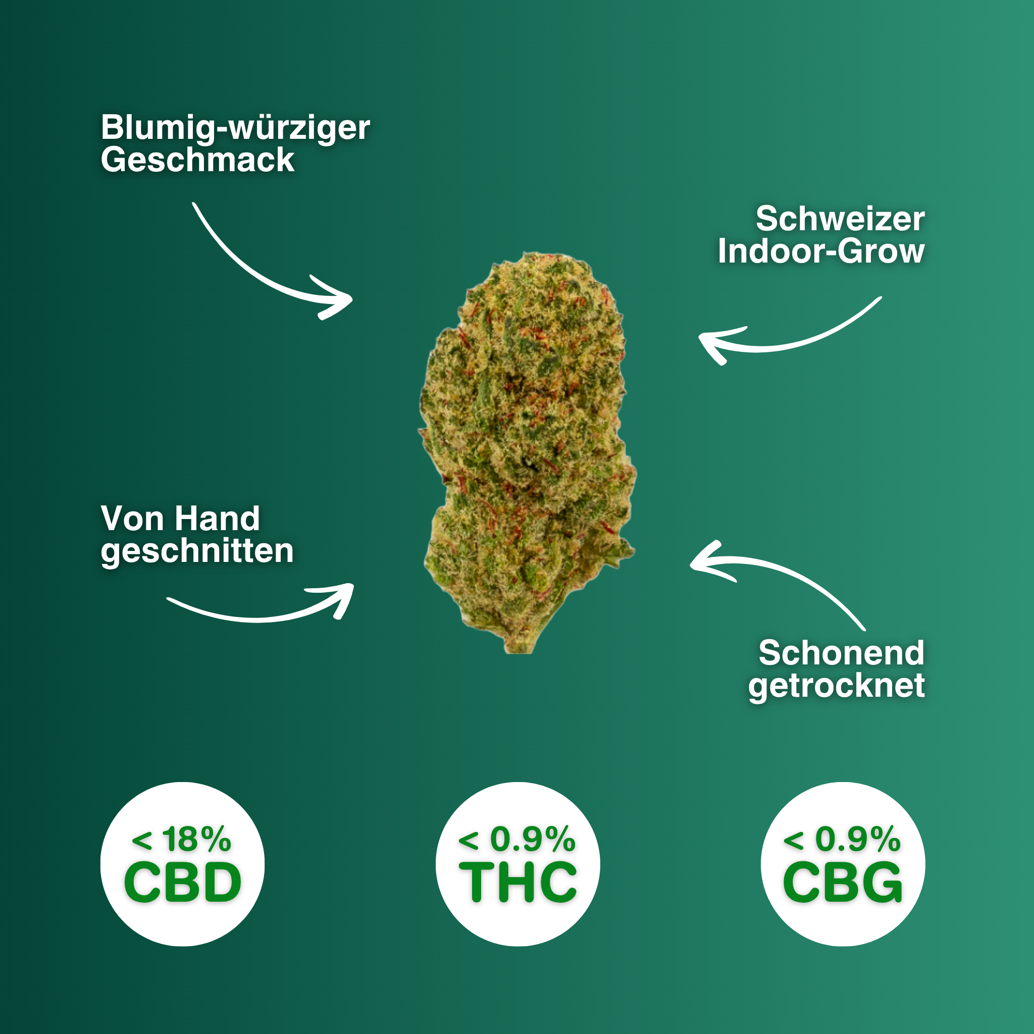 Nahaufnahme einer CBD-Blüte Maui Wowy Popcorn, handgeschnitten, aus Schweizer Indoor-Anbau, mit blumig-würzigem Geschmack, schonend getrocknet.