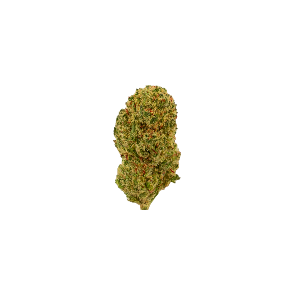 Maui Wowy Fleurs de CBD Popcorn – Cultivées en intérieur en Suisse, avec de petites têtes résineuses et des terpènes exotiques et fruités. Parfait pour les amateurs d’arômes intenses.