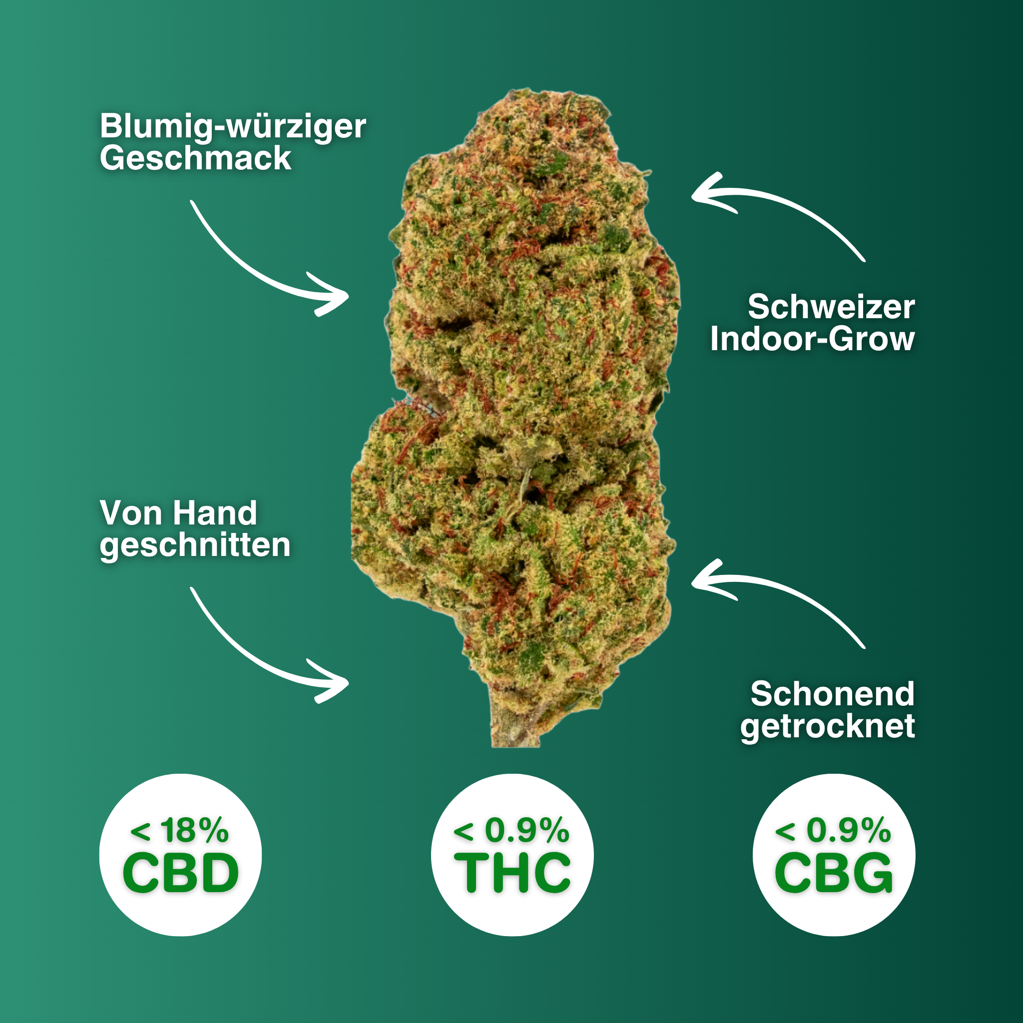 CBD-Blüte Maui Wowy, handgeschnitten, aus Schweizer Indoor-Anbau, blumig-würziger Geschmack, unter 18% CBD, weniger als 0,9% THC und CBG.