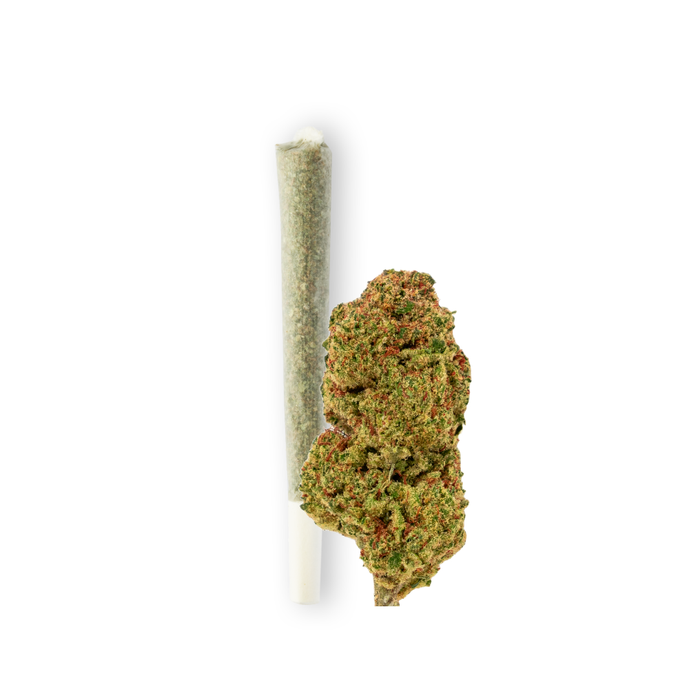 Photo du produit Green Passion : Joint pré-roulé à côté d'une grosse fleur de CBD fraîche et verte de la variété CBD Maui Wowy. L'image met en avant la qualité et la fraîcheur du produit sur un fond blanc.