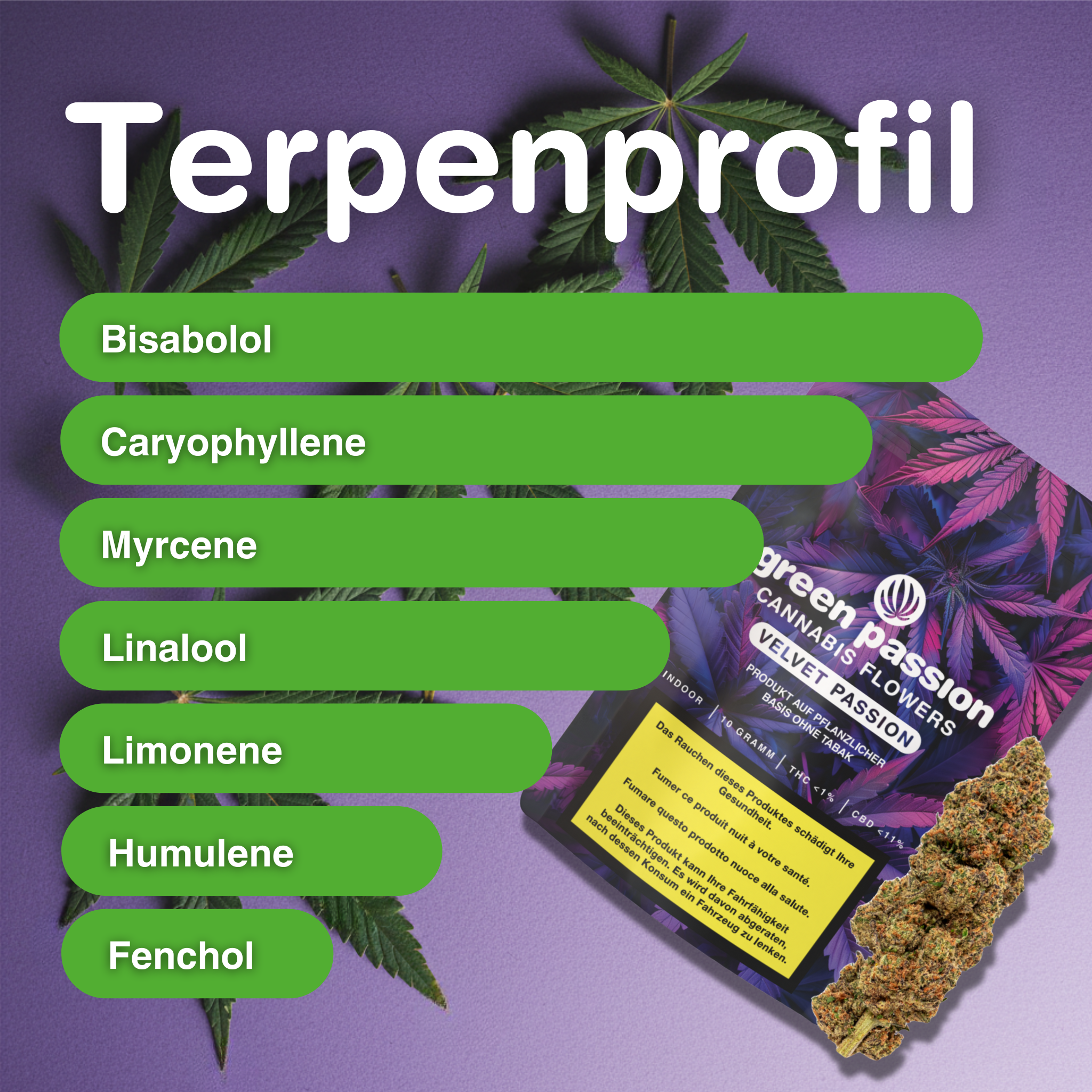 Emballage de la Velvet Passion Fleurs de CBD Indoor avec profil terpénique et fleur sur fond violet. Mots-clés : Velvet Passion, CBD.