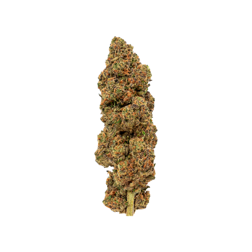 Velvet Passion Fleurs de CBD – Culture indoor suisse de Green Passion. Fleurs de chanvre de haute qualité, soigneusement sélectionnées à la main, avec un arôme intense et une teneur élevée en CBD.