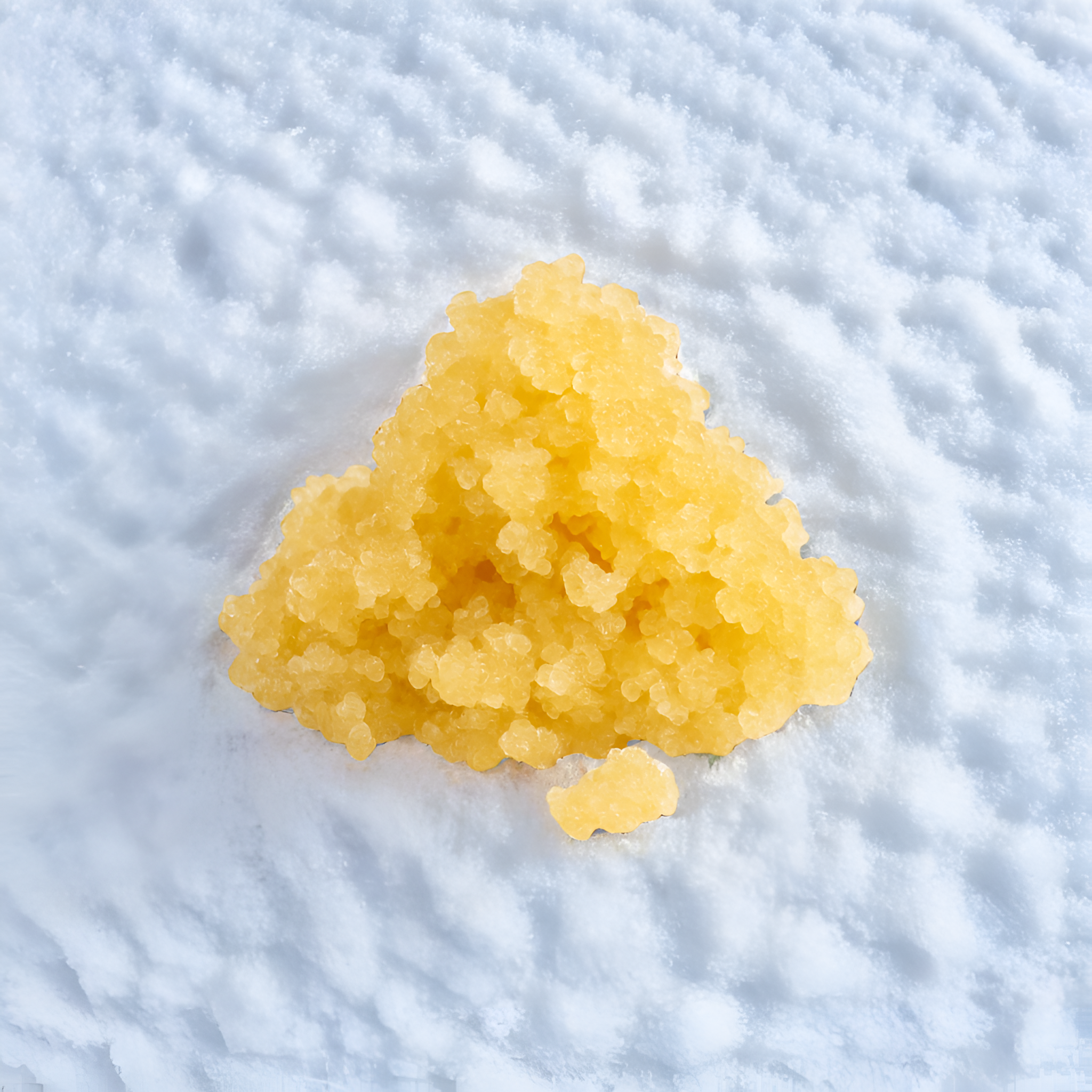 Gelée jaune Sugar Wax CBD Dab, 1g, sur fond blanc, met en valeur la texture granuleuse et la couleur vive du produit.