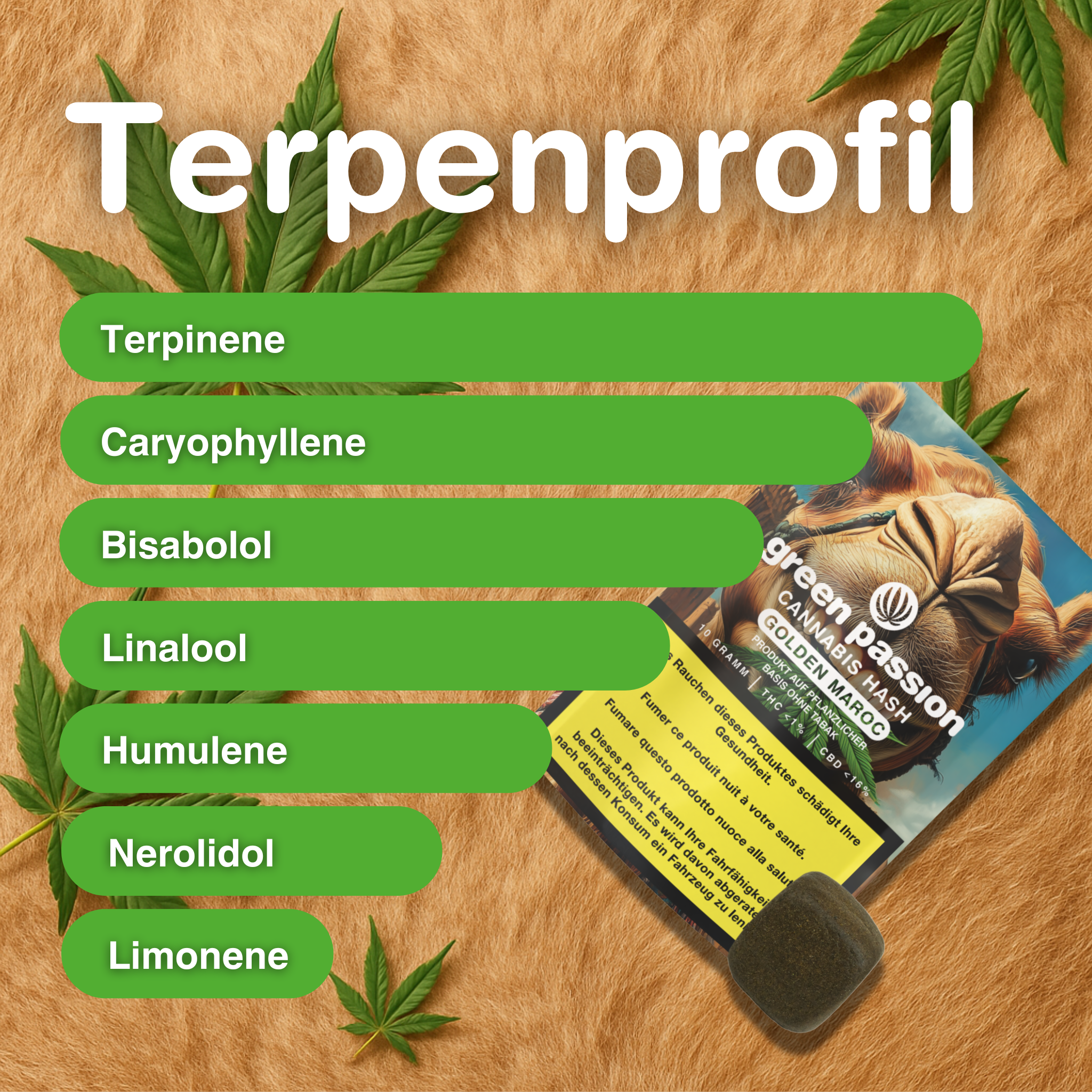 Profil terpénique de Golden Maroc Hash de CBD Indoor sur un fond marron avec des feuilles de cannabis et l’emballage du produit sur l’image.