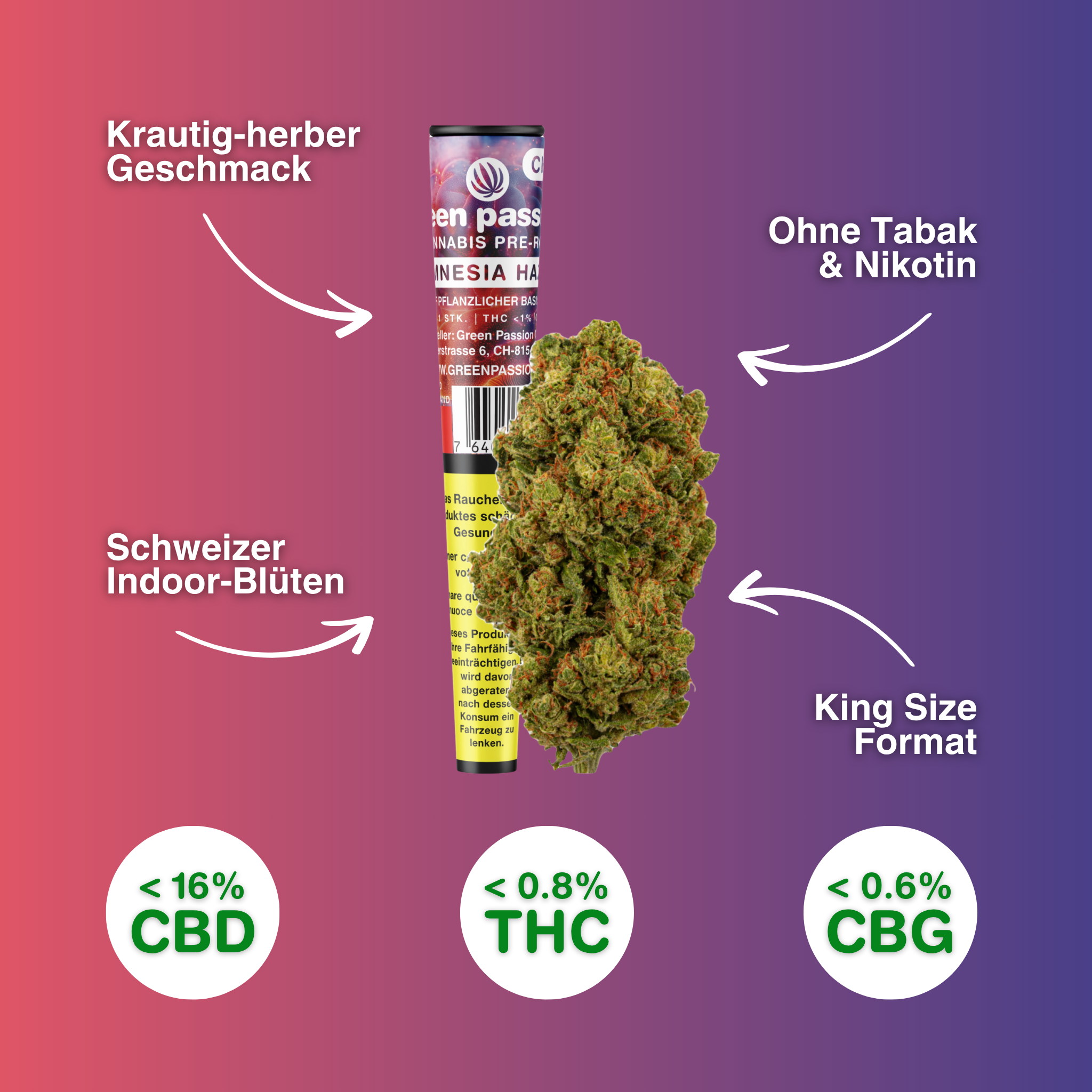 Amnesia Haze Pre-Rolls CBD Joint met en avant des fleurs indoor suisses, format King Size, sans tabac, avec un goût herbacé et corsé et moins de 16 % de CBD.