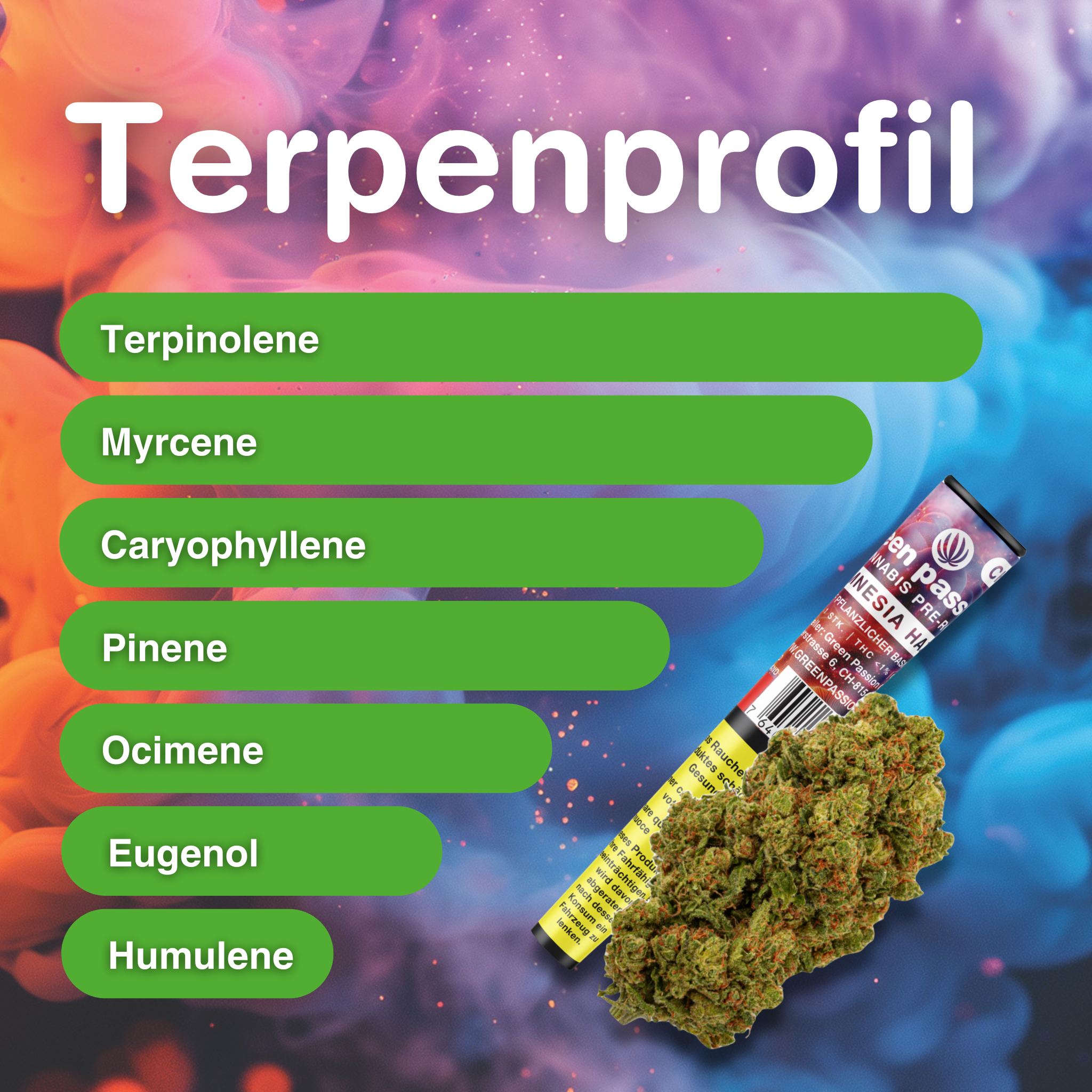 Amnesia Haze Pré-roulés CBD Joint Indoor avec profil terpénique : terpinolène, myrcène, caryophyllène, pinène, ocimène, eugénol, humulène sur un fond coloré…