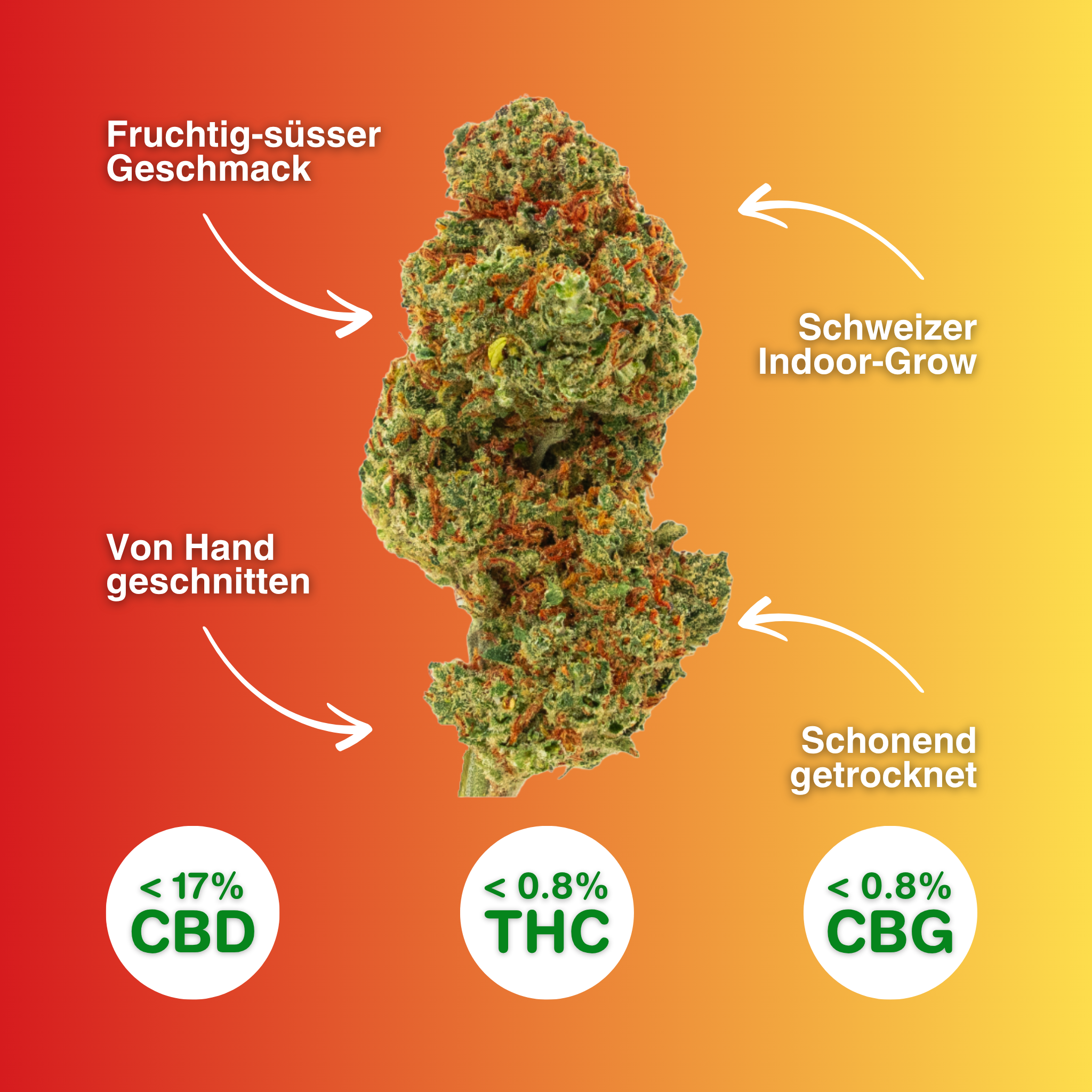CBD Blüten Fruit Punch mit fruchtigem Aroma, handgeschnitten, aus Schweizer Indoor-Anbau, schonend getrocknet, <17% CBD, <0,8% THC/CBG.