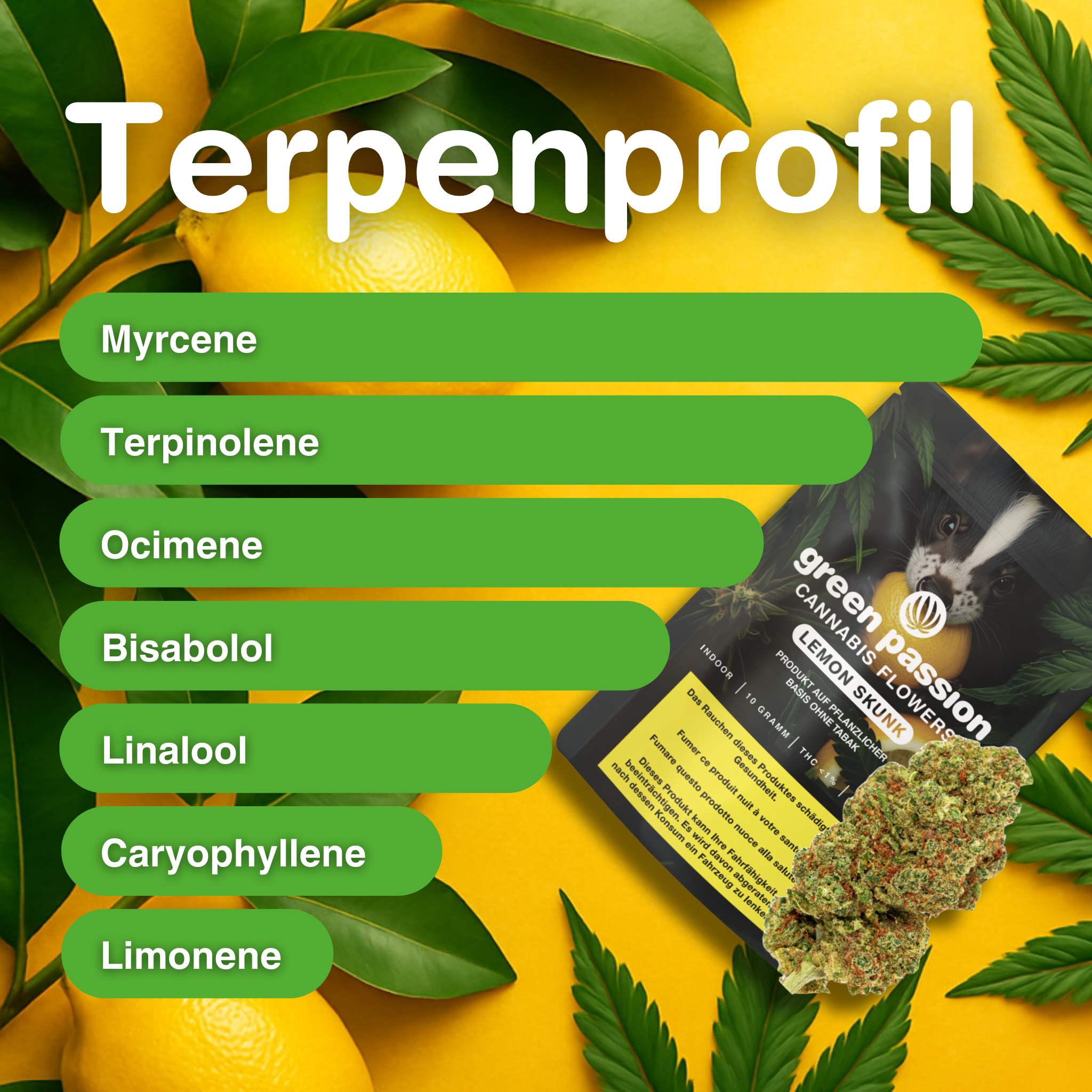 Verpackung von Lemon Skunk CBD-Blüten mit Terpenprofil auf gelbem Hintergrund, umgeben von Zitronen und Cannabisblättern.