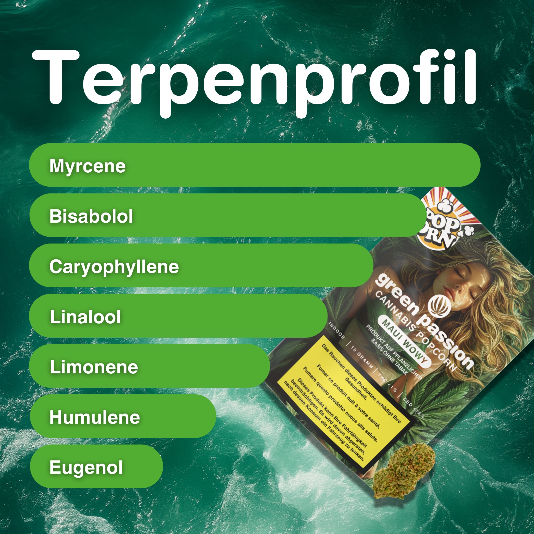 Emballage de Maui Wowy fleurs de CBD Popcorn sur fond vert, profil terpénique avec myrcène, bisabolol, caryophyllène, linalol, limonène, humulène…