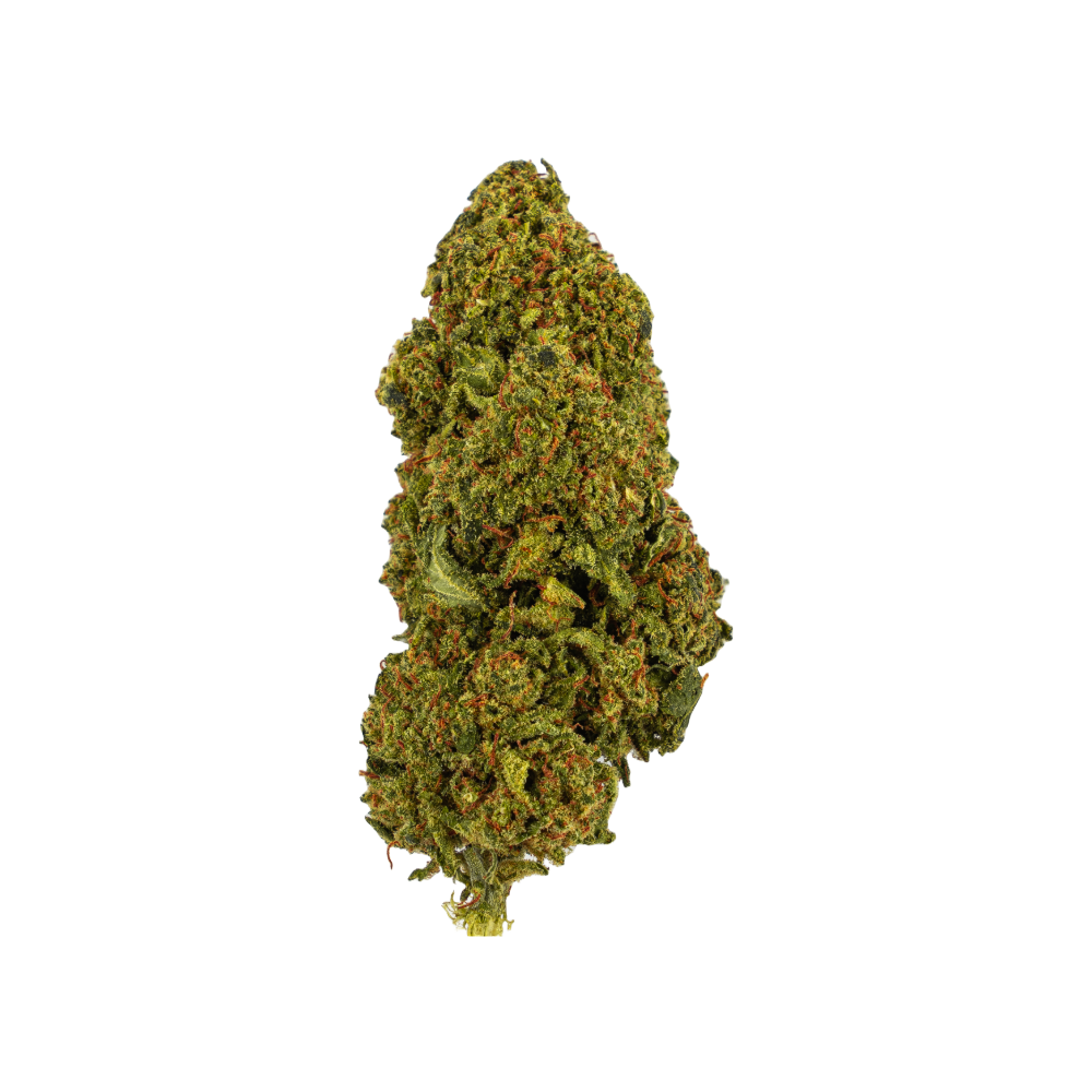 Passion Haze Treibhaus CBD Blüte – Im Gewächshaus angebaut in der Schweiz, mit dichten, harzigen Buds und fruchtig-würzigen Haze-Terpenen.
