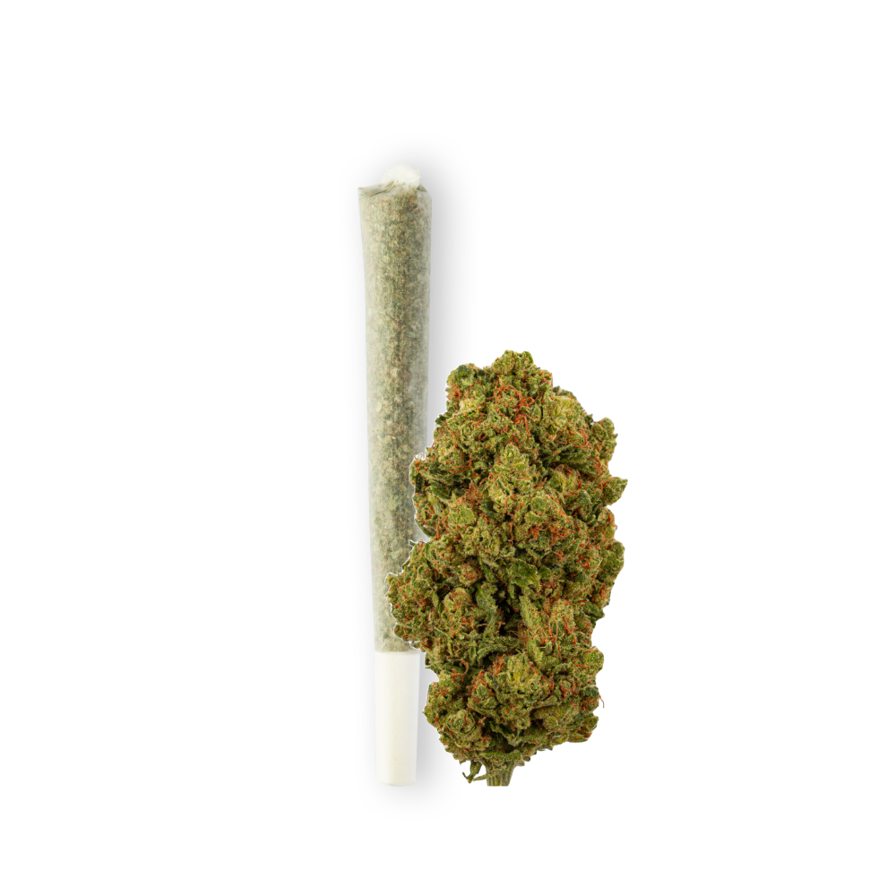 Photo produit de Green Passion : joint Amnesia pré-roulé à côté d’une grosse fleur de CBD fraîche et verte. L’image met en avant la qualité et la fraîcheur du produit sur un fond blanc.
