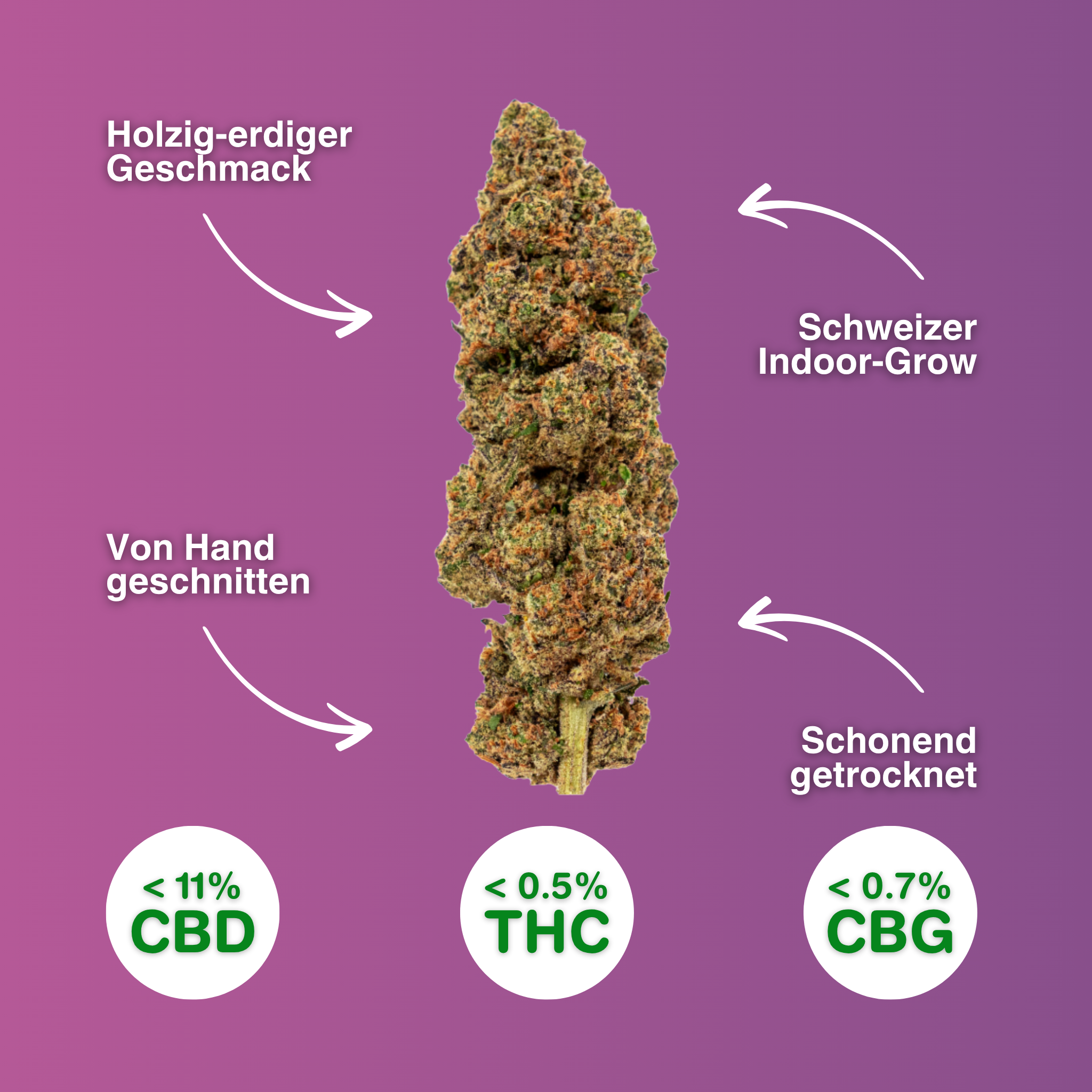 CBD-Blüte Velvet Passion, handgeschnitten, Schweizer Indoor-Anbau, holzig-erdiger Geschmack, sanft getrocknet, <11% CBD, <0,5% THC, <0,7% CBG.