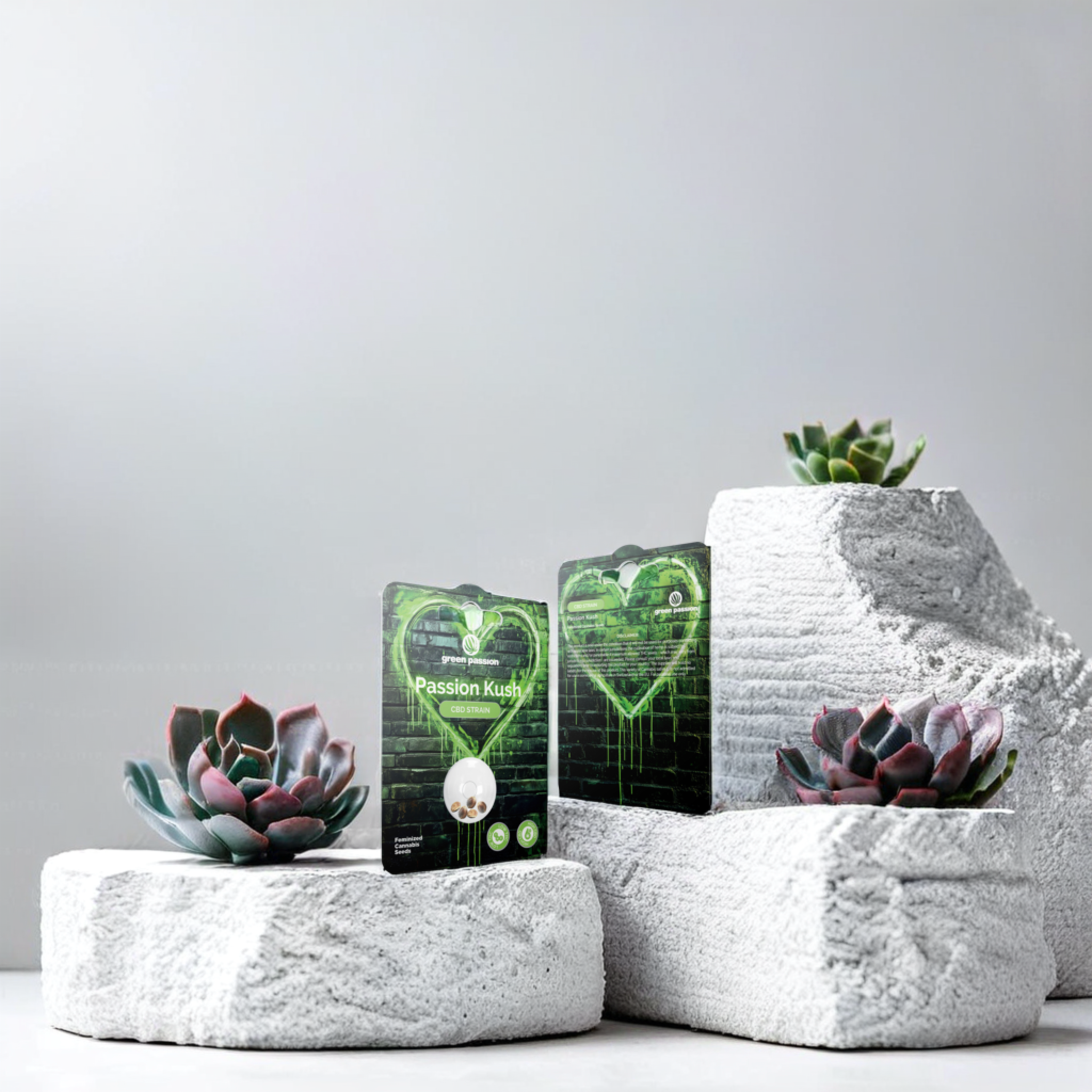 Green Passion Passion Kush Graines de CBD – graines de chanvre féminisées dans un packaging moderne au design néon-graffiti pour les cultivateurs soucieux de leur style.